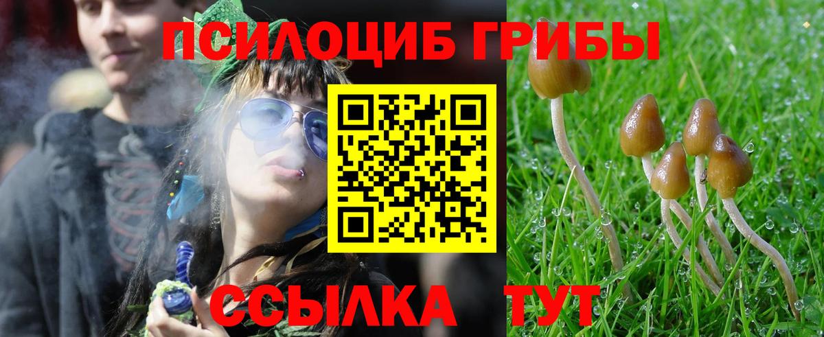 Лесной  сколько стоит  Вход с VPN  Галлюциногенные грибы Psilocybe 